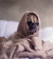 屯昌有这样的手机号码，留不住钱，你中枪了吗？