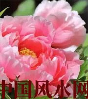 屯昌预示你财运上升，姻缘可成的梦境，快来看看吧！
