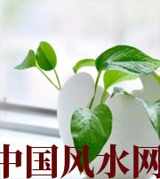 屯昌家中摆放六种吉祥物，会打开您的财运大门！