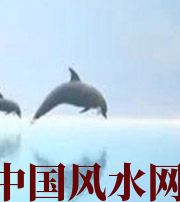 屯昌做梦梦到这些，是要富裕的征兆！