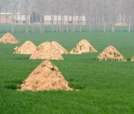 屯昌阴宅风水：形峦三十六绝